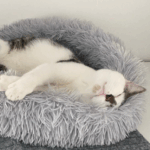 Testimonial Kennenlernen 1