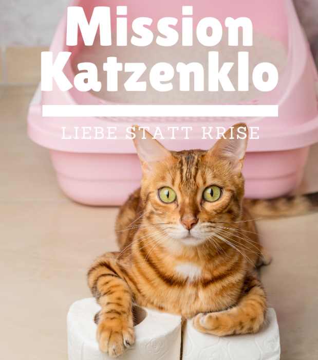 Katze liegt neben Katzenklo auf zwei Klorollen