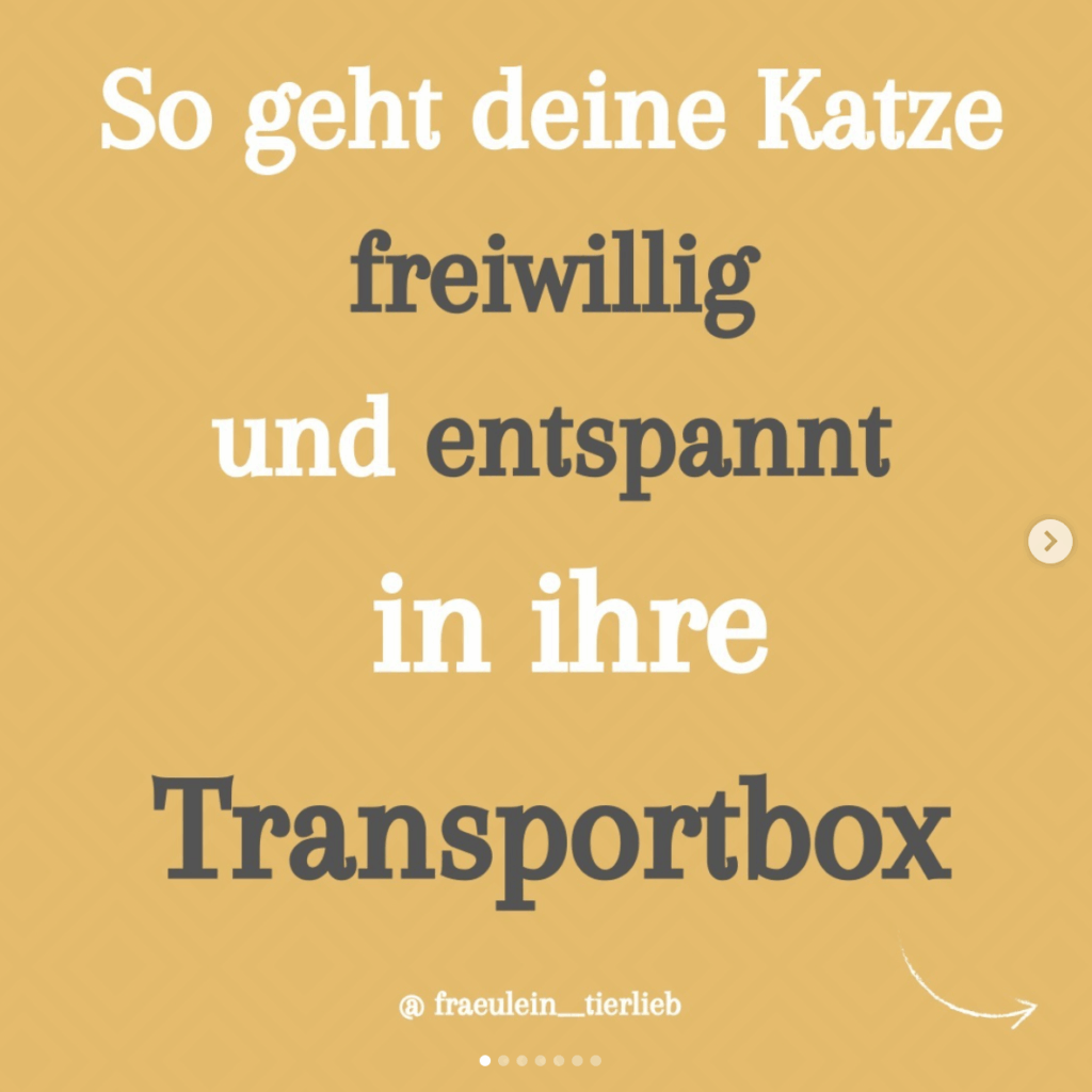 Freiwillig in die Transportbox!