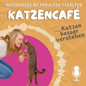 Katzenzeit Katzencafé - ein Podcast